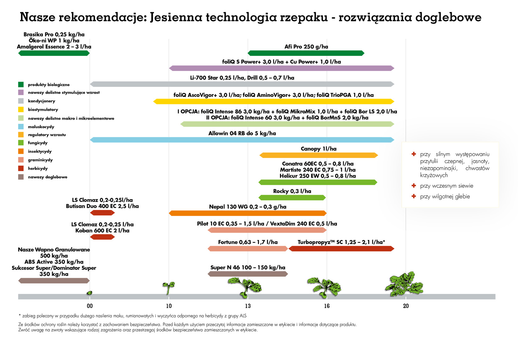 Ochrona rzepaku Agrii