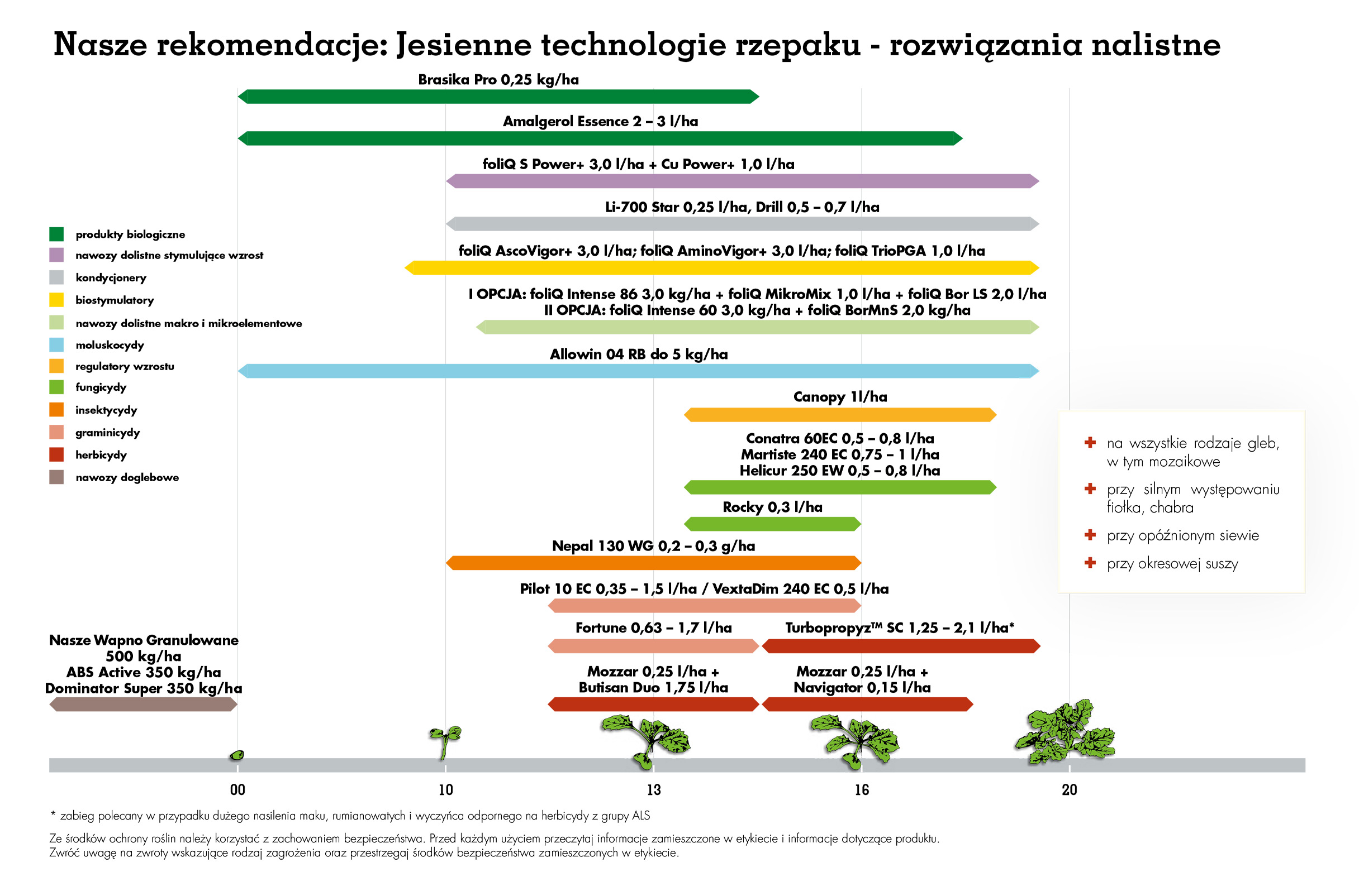 Ochrona rzepaku Agrii