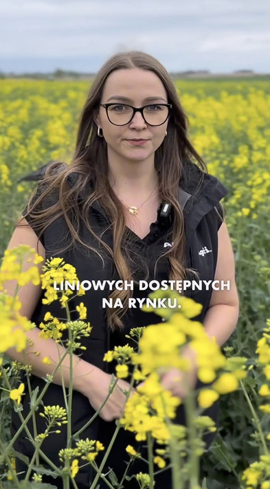 Film o rzepaku Marvin